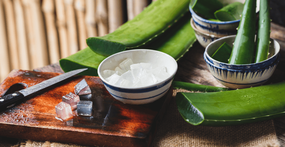 Aloe vera benefits