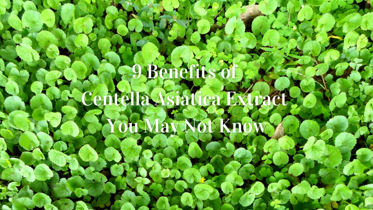 Centella asiatica extract