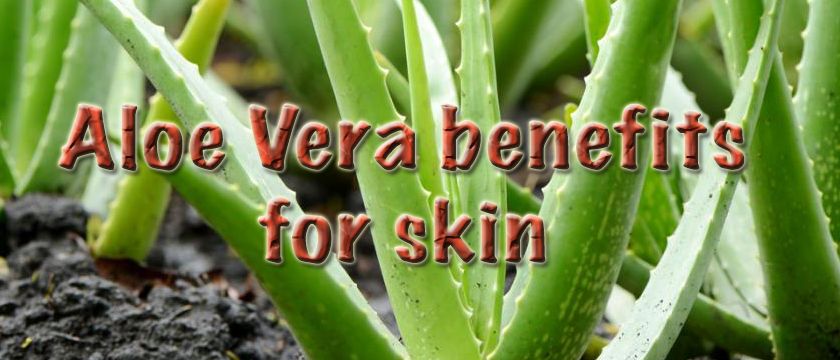 Aloe vera benefits