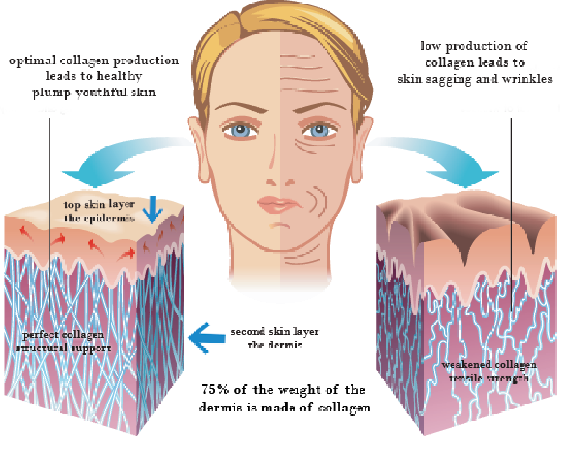 Collagen skincare ingredient